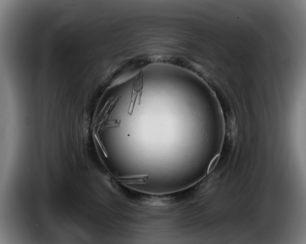 X0000086100664200703301216