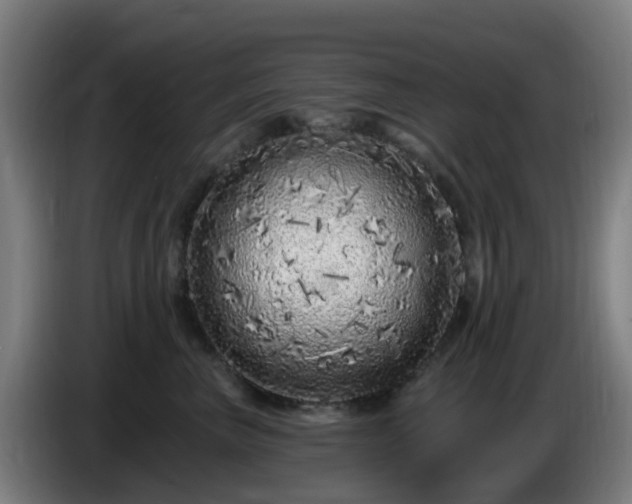 X0000086100667200703301216