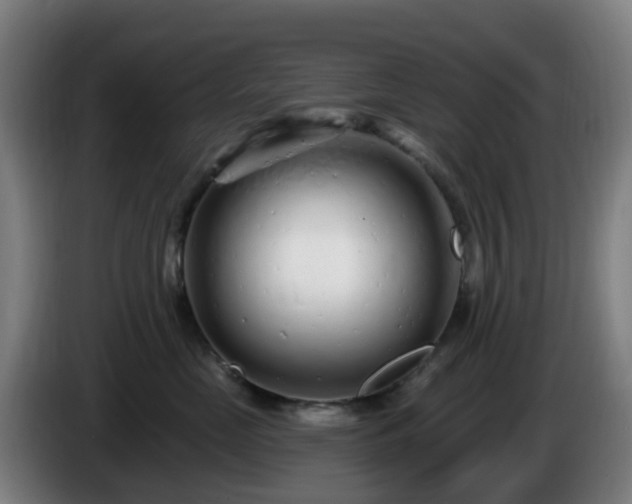 X0000086100669200703301216