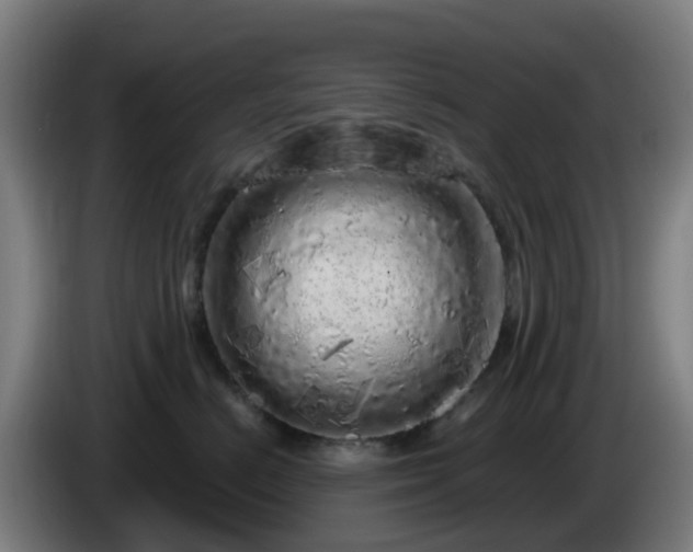 X0000086100670200703301216