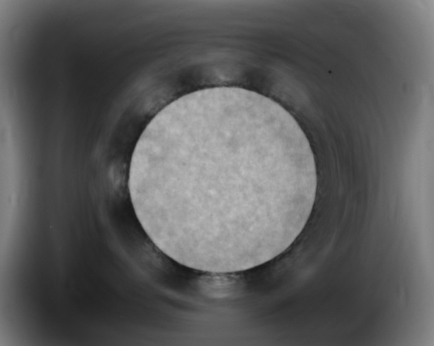 X0000086100672200703301216