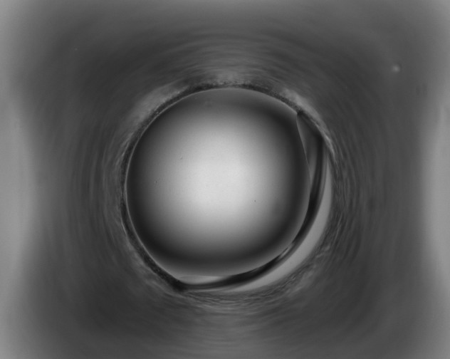 X0000086100673200703301215