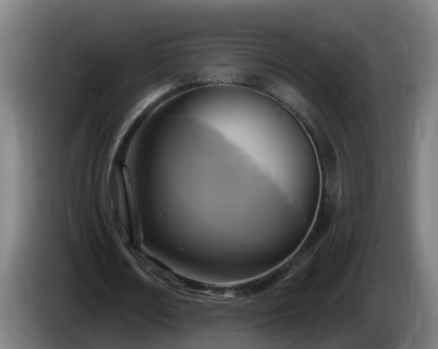 X0000086100674200703301215
