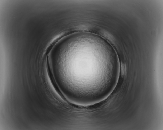 X0000086100675200703301215