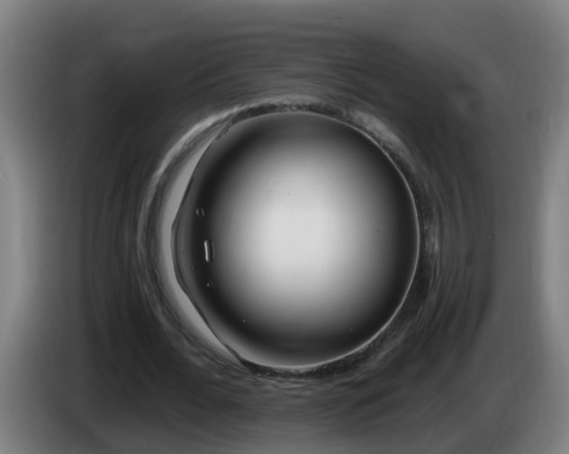 X0000086100676200703301215