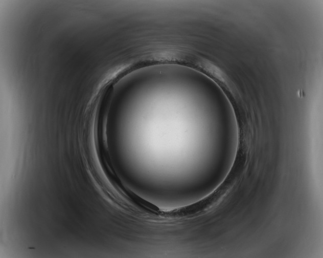 X0000086100677200703301215