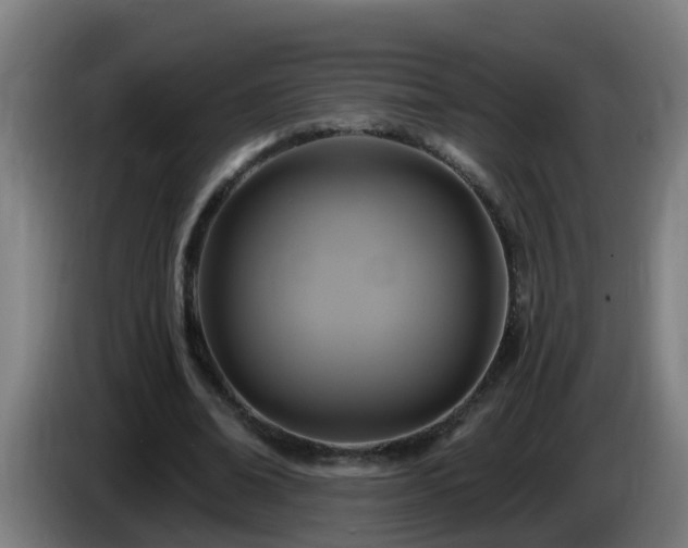 X0000086100678200703301215