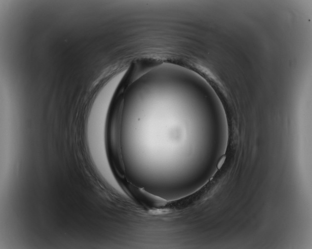 X0000086100681200703301215