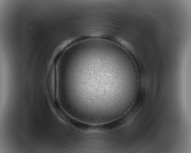 X0000086100682200703301215