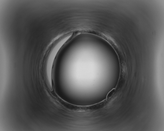 X0000086100684200703301215