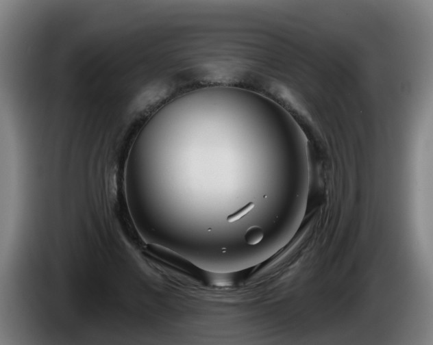 X0000086100685200703301215