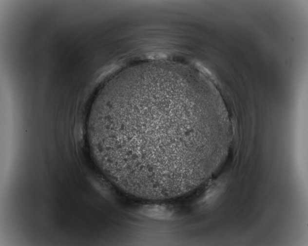 X0000086100687200703301215