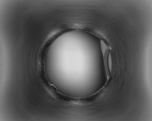 X0000086100688200703301215