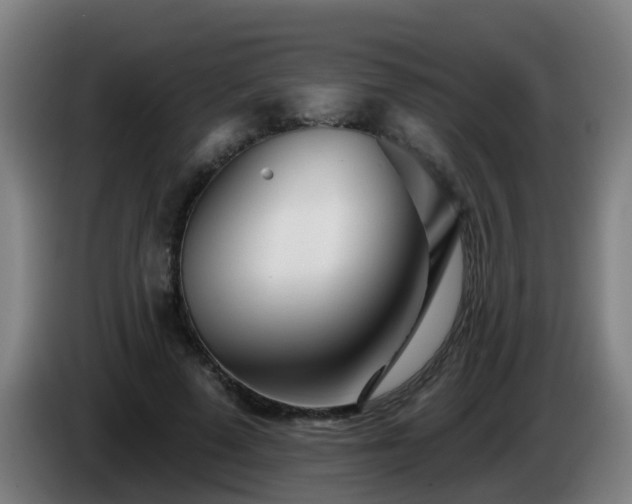 X0000086100689200703301215