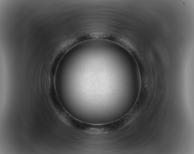 X0000086100690200703301215