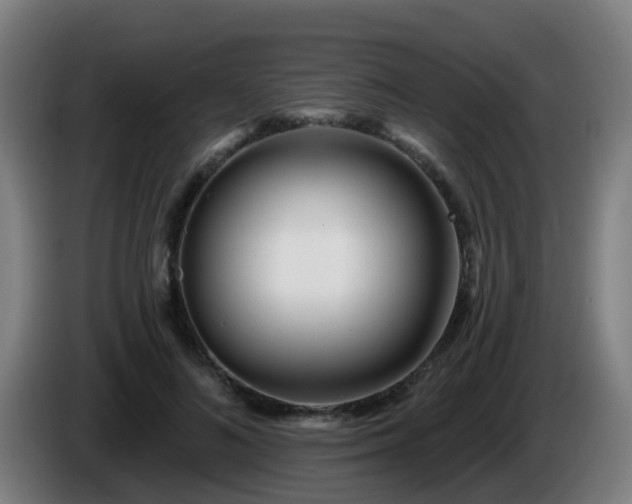 X0000086100692200703301215