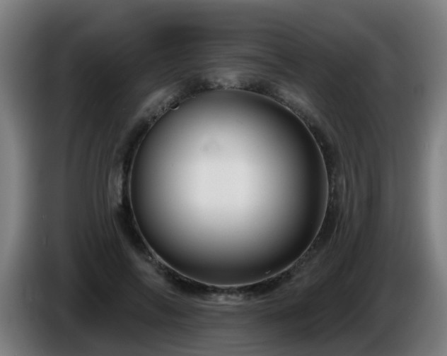 X0000086100694200703301215