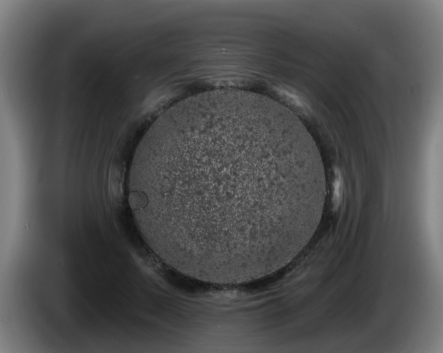 X0000086100695200703301215