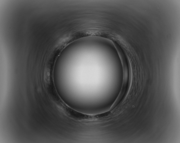 X0000086100696200703301215