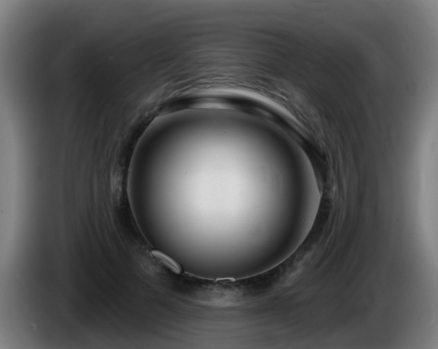 X0000086100697200703301215