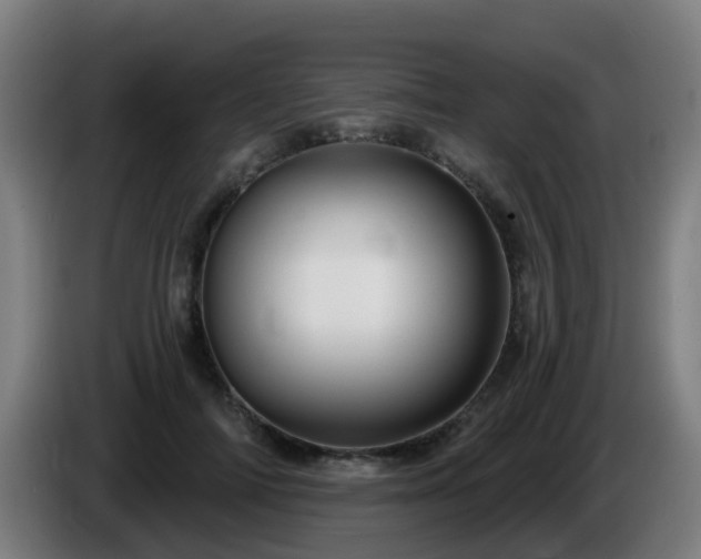 X0000086100698200703301215