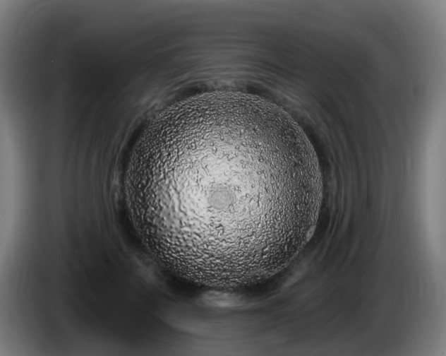X0000086100699200703301215