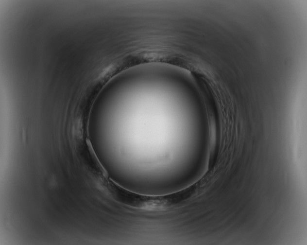 X0000086100700200703301215