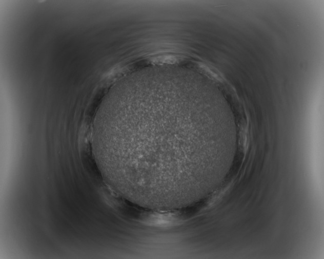 X0000086100701200703301215