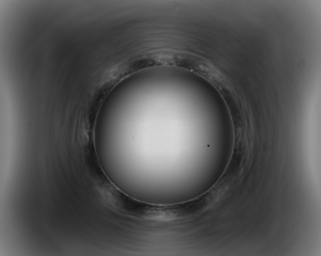 X0000086100702200703301215