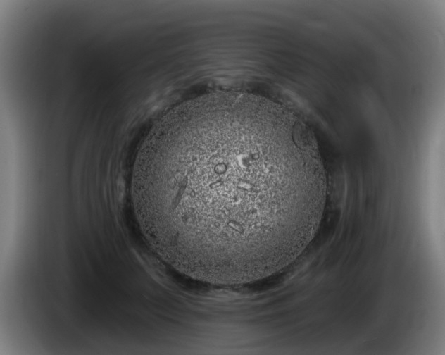 X0000086100703200703301215