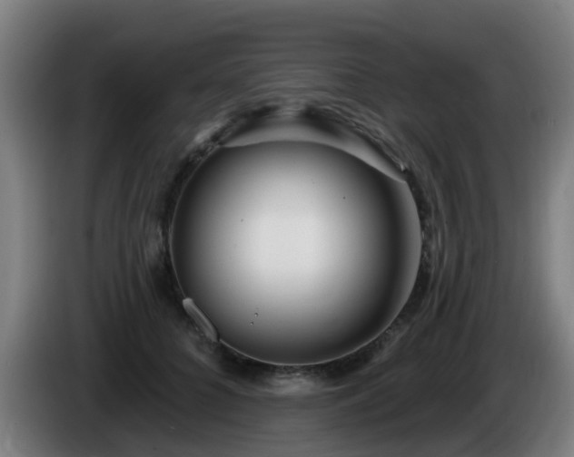 X0000086100704200703301215