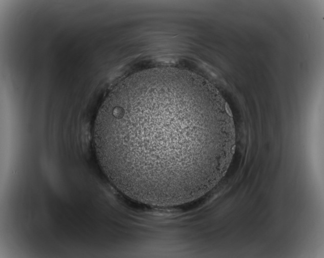 X0000086100707200703301215