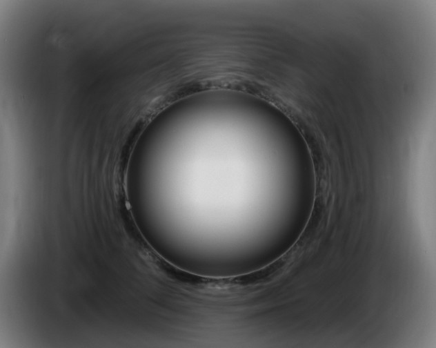 X0000086100708200703301215