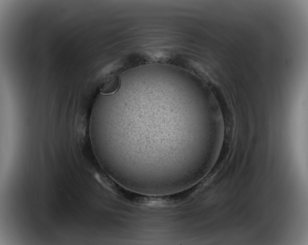 X0000086100710200703301215