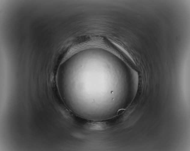 X0000086100711200703301215