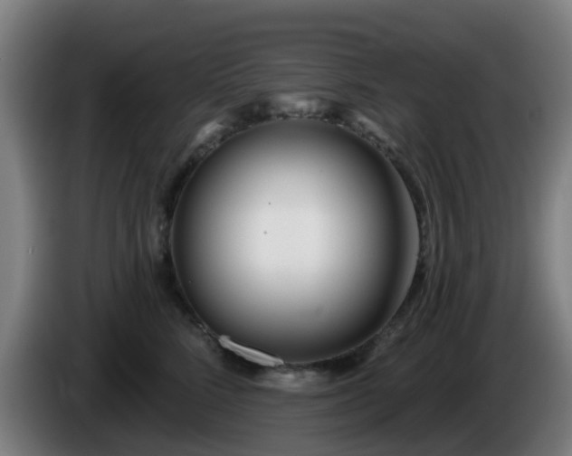 X0000086100712200703301215