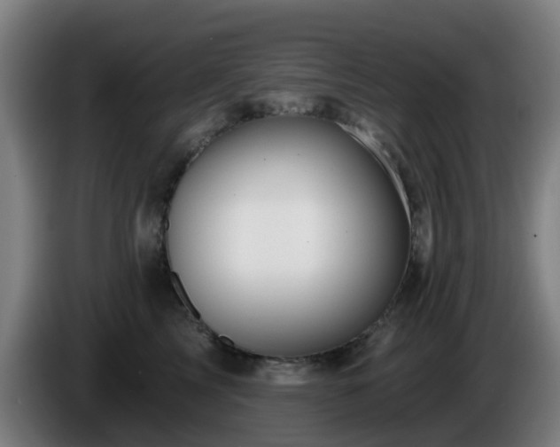 X0000086100713200703301215