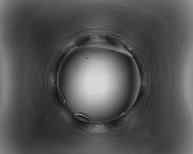 X0000086100715200703301215
