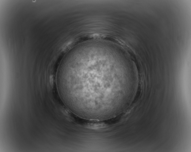 X0000086100716200703301215