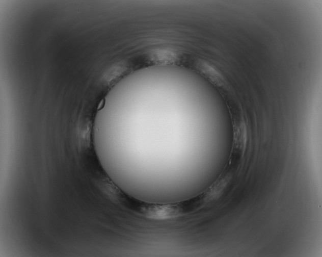 X0000086100717200703301215