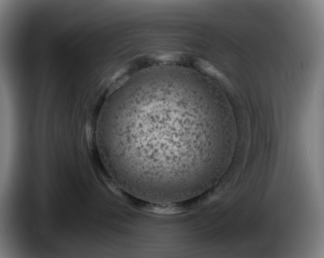 X0000086100720200703301214