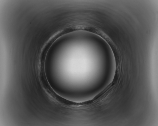 X0000086100722200703301214