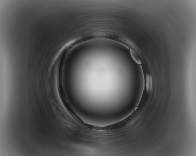 X0000086100723200703301214