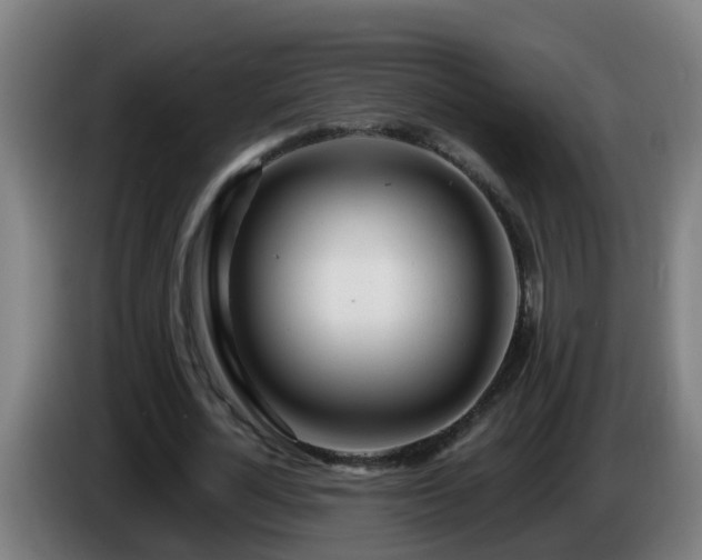 X0000086100724200703301214