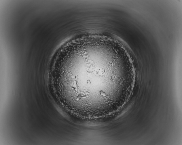 X0000086100725200703301214