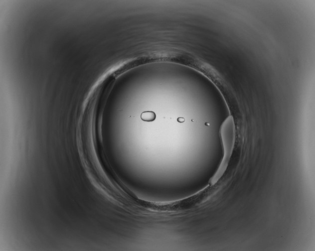 X0000086100726200703301214