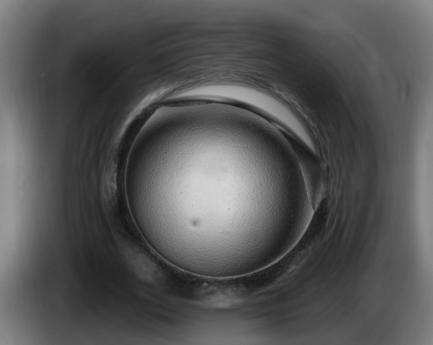 X0000086100727200703301214