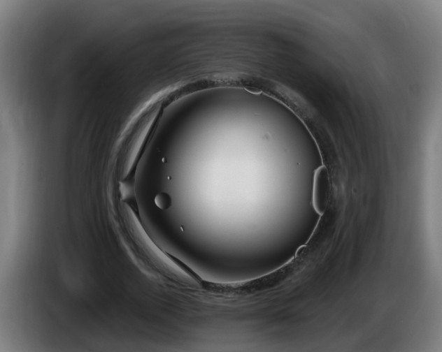 X0000086100728200703301214