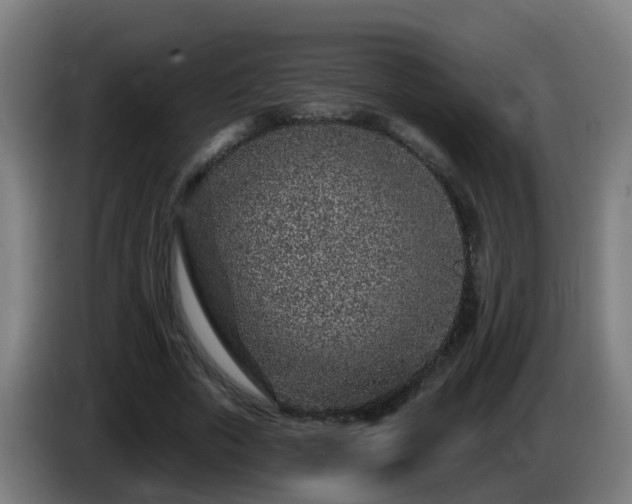 X0000086100729200703301214