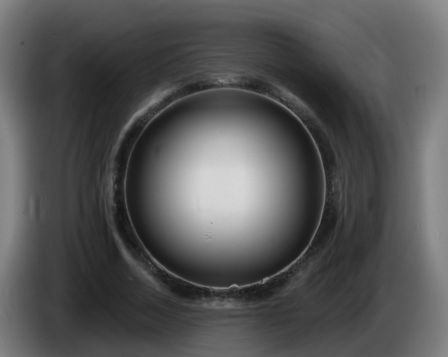 X0000086100730200703301214